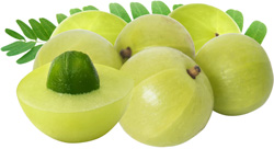 triphala-ingredients-01-margo